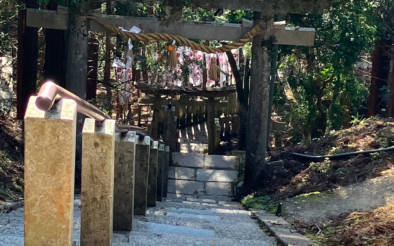 画像5