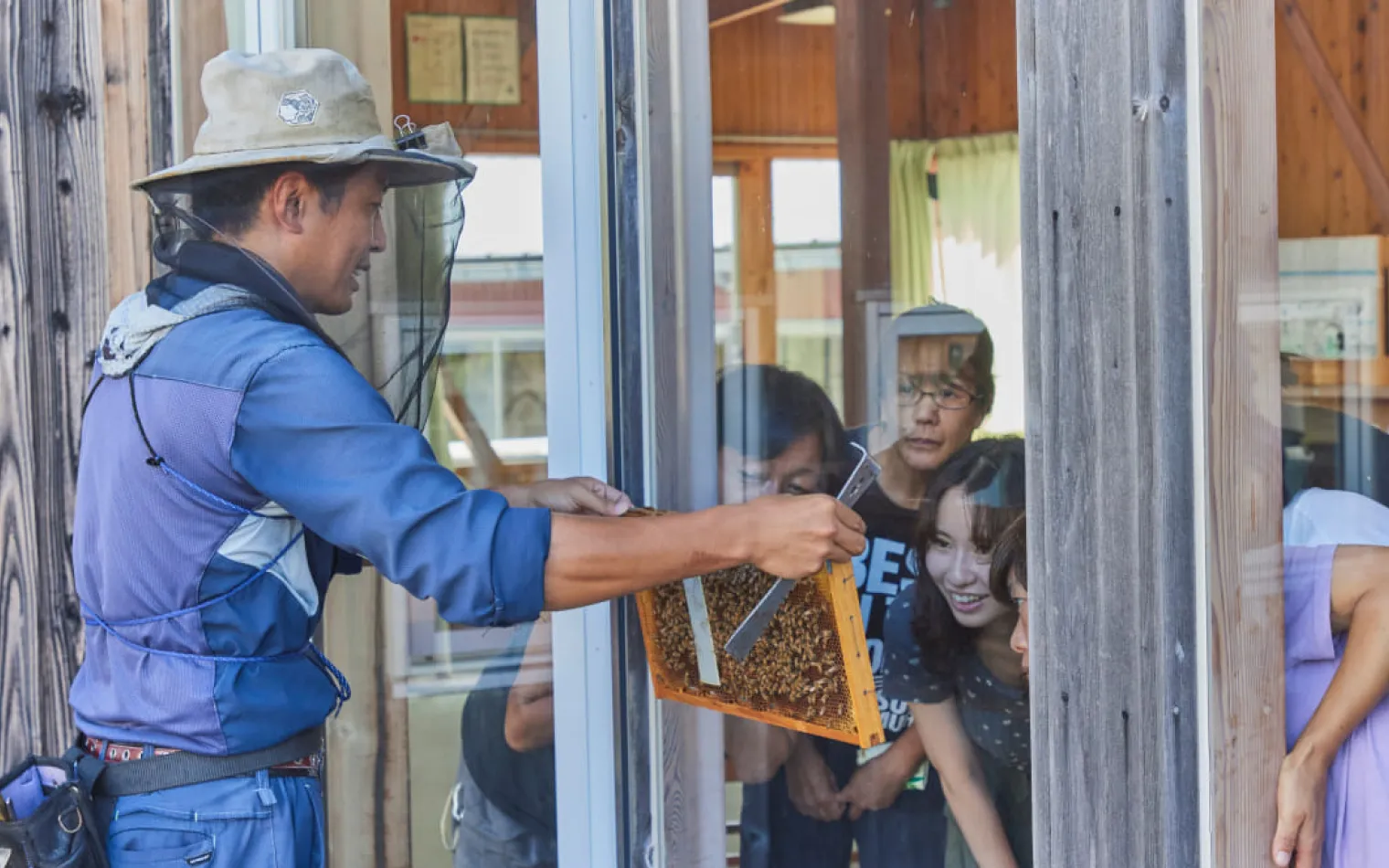 養蜂体験風景