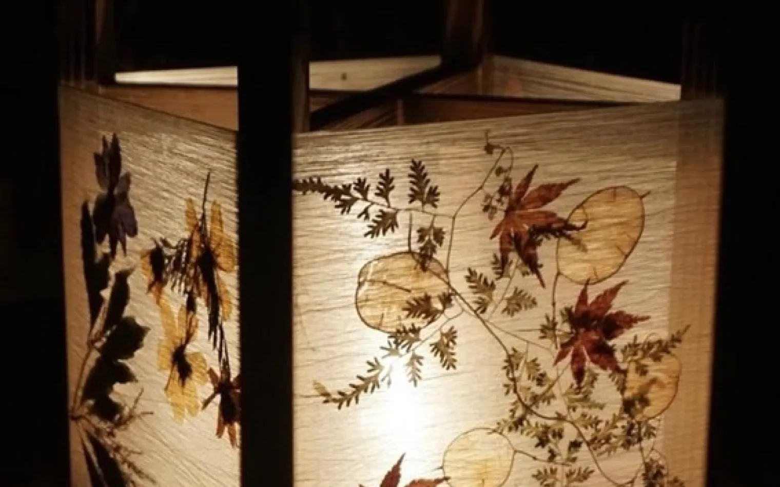 養蚕ワークショップ