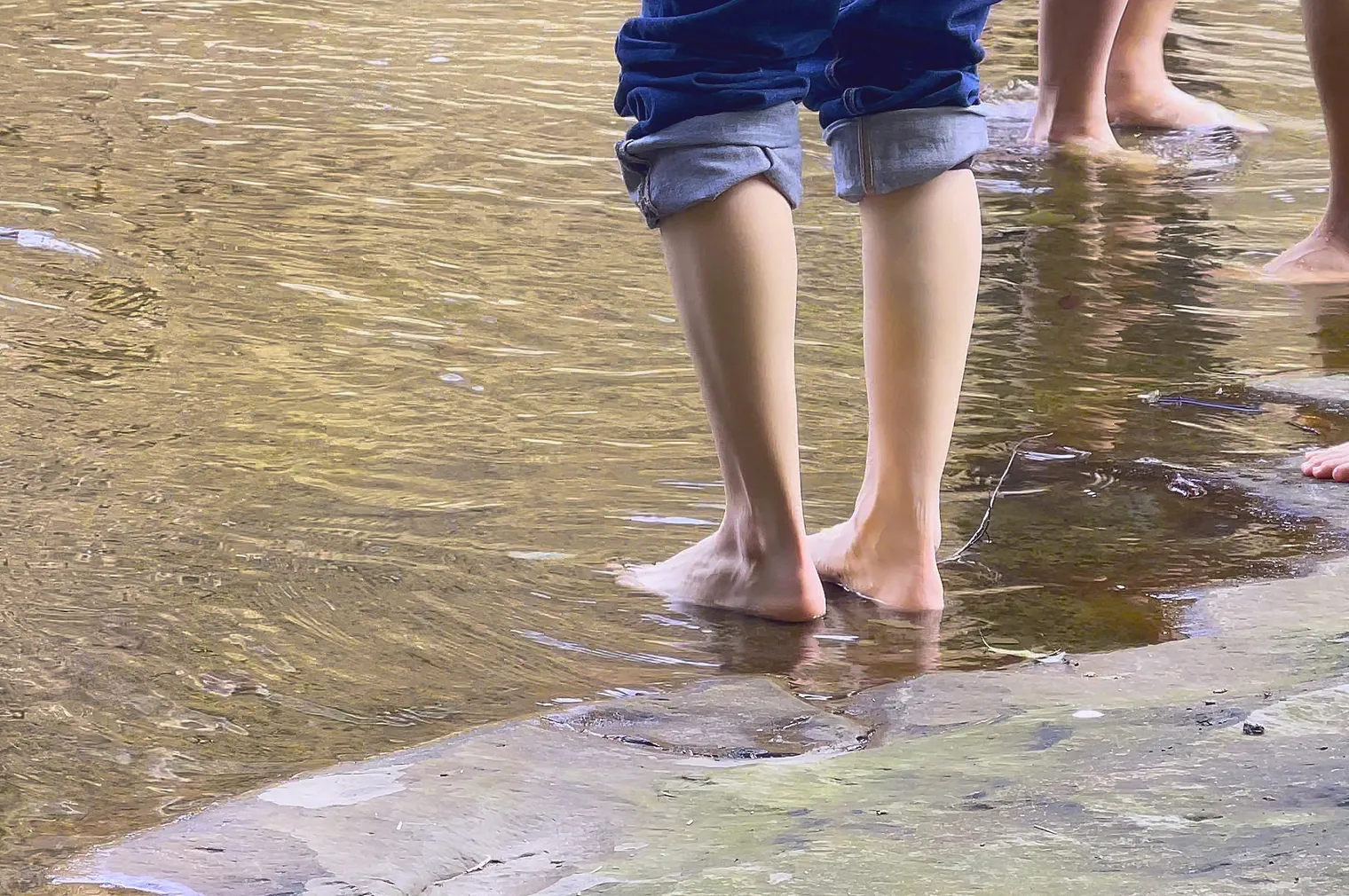 水辺風景