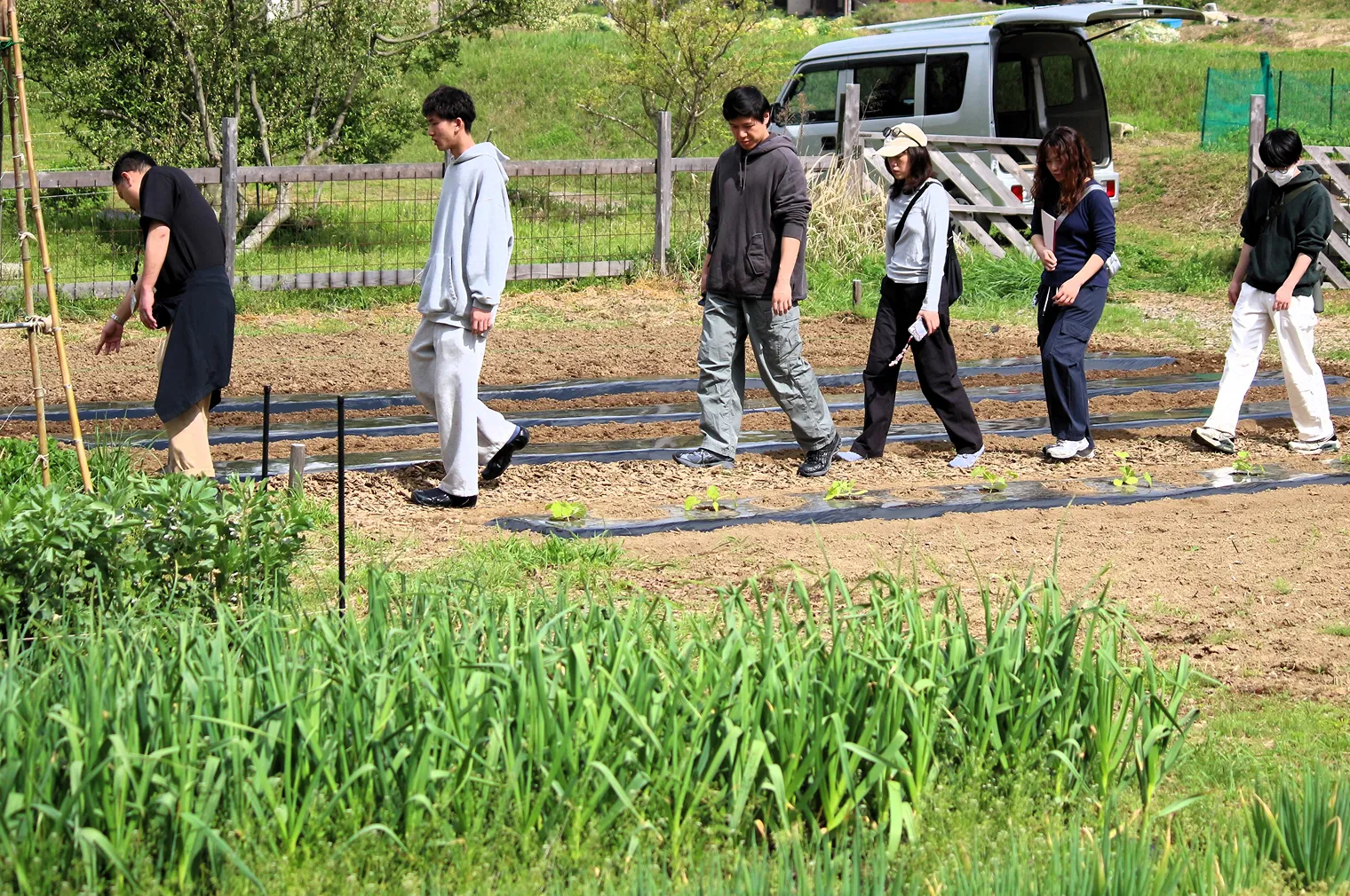 MUJI FARM