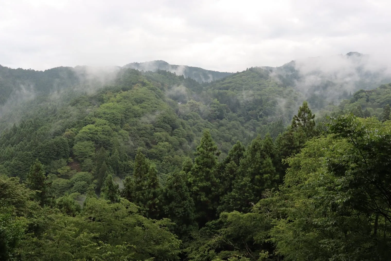 MUJI room SAKAMOTOYAから見える雲海