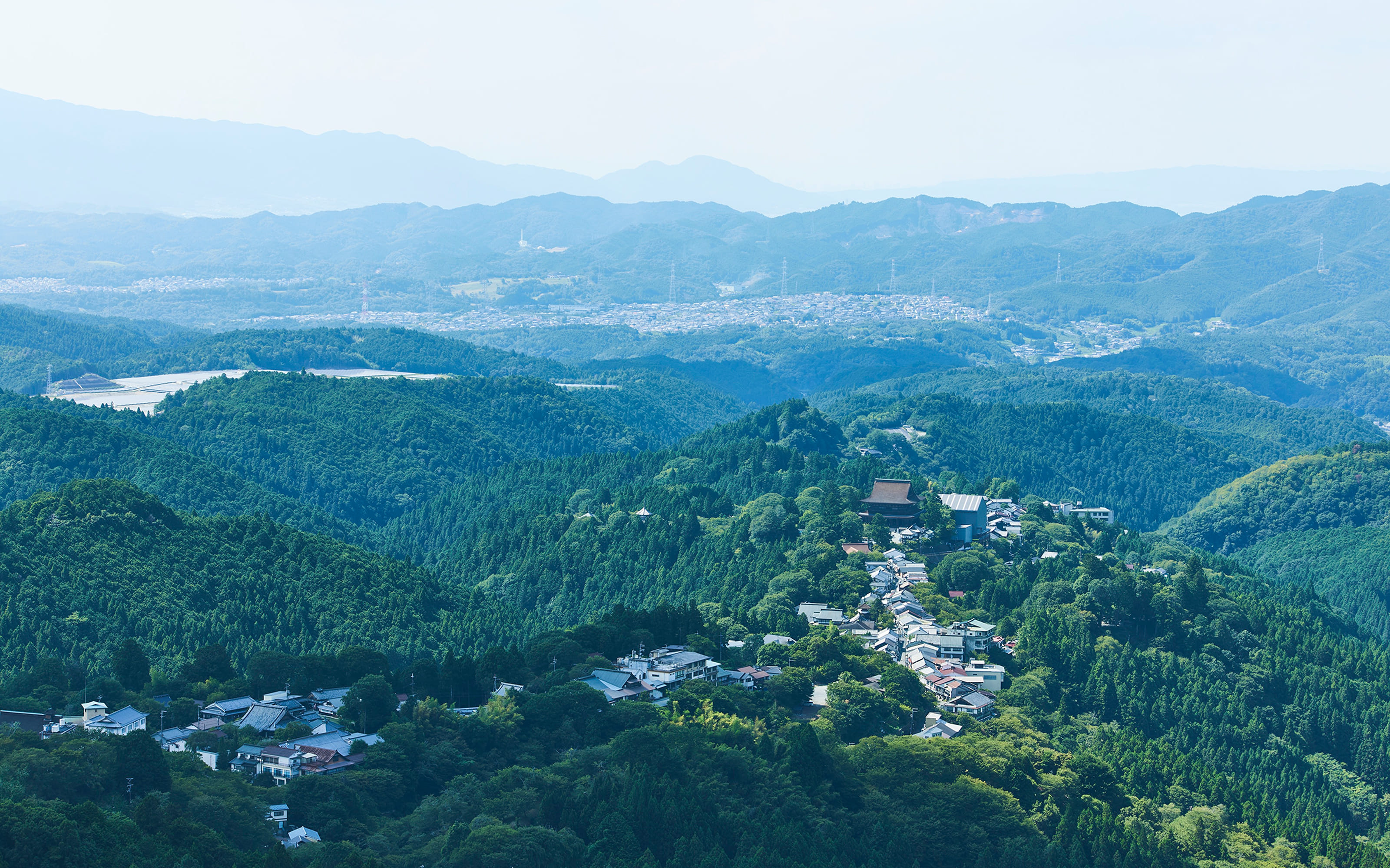 吉野